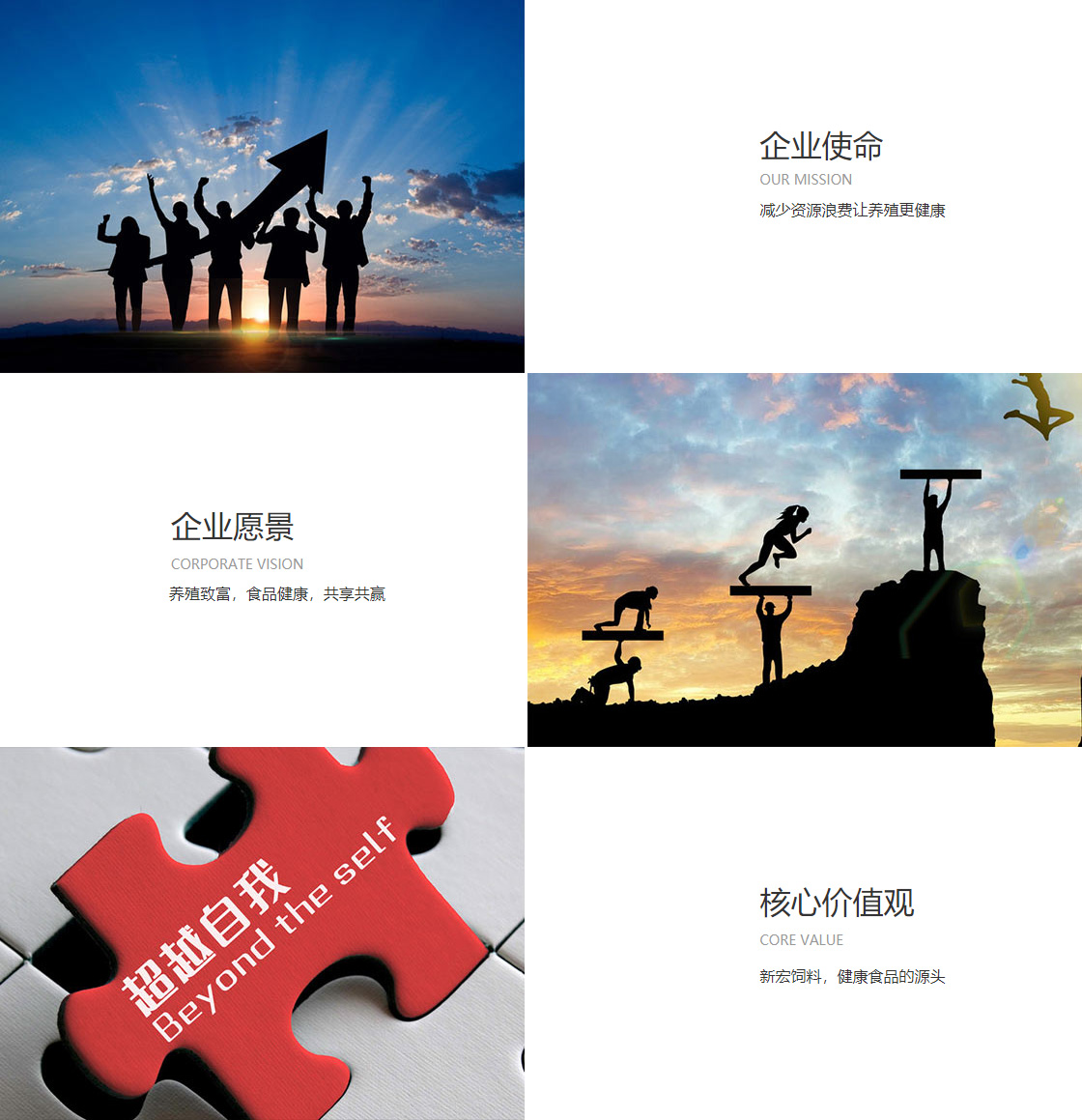爱游戏平台(图1)